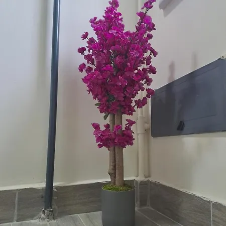 Taksim Nida Flats Appartement Istambul